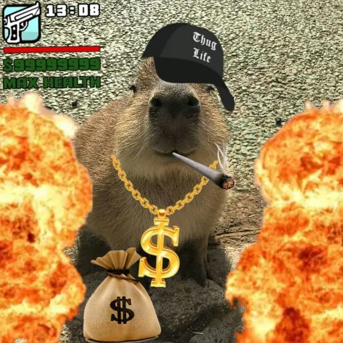 Tổng hợp 145+ capybara meme hài hước khiến bạn cười thả ga Tổng hợp 145+ capybara meme hài hước khiến bạn cười thả ga