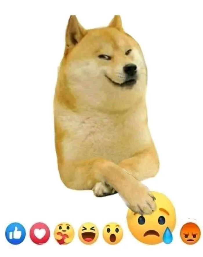 250+ cheems meme hài hước nhất, không thể bỏ lỡ