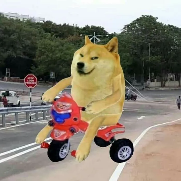 250+ cheems meme hài hước nhất, không thể bỏ lỡ