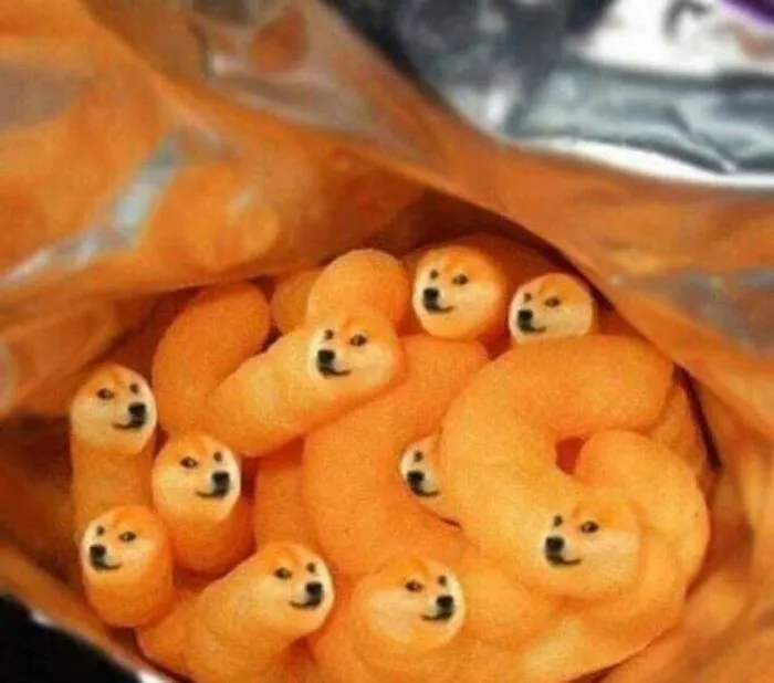 Khám phá 108+ chó meme cực hài, cười thả ga