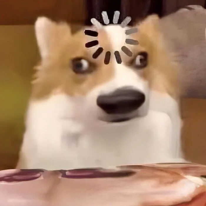 Khám phá 108+ chó meme cực hài, cười thả ga