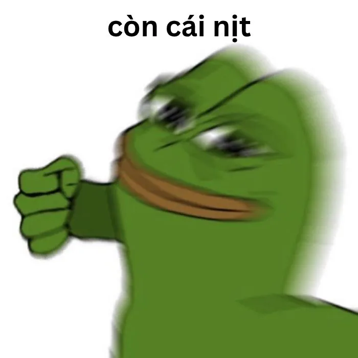 Khám phá 88+ ảnh 'có cái nịt meme' hot nhất cho bạn