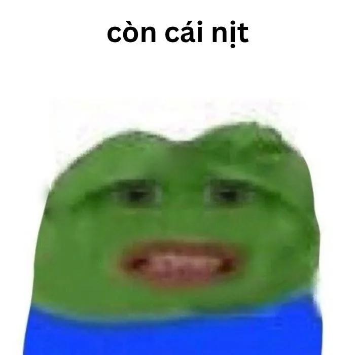 Khám phá 88+ ảnh 'có cái nịt meme' hot nhất cho bạn
