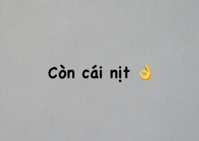 Khám phá 88+ ảnh 'có cái nịt meme' hot nhất cho bạn