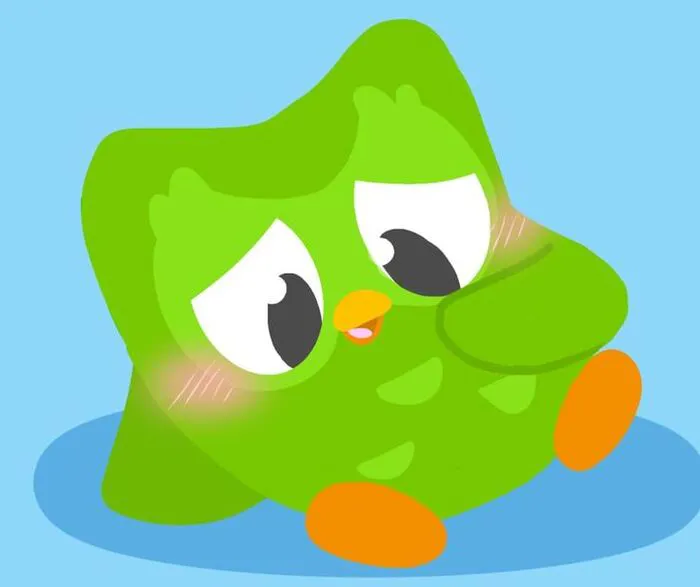 Hơn 150+ duolingo meme hài hước khiến bạn cười ra nước mắt