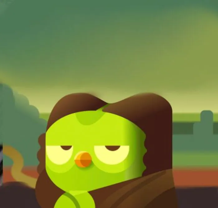 Hơn 150+ duolingo meme hài hước khiến bạn cười ra nước mắt