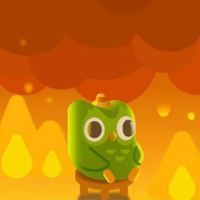 Hơn 150+ duolingo meme hài hước khiến bạn cười ra nước mắt
