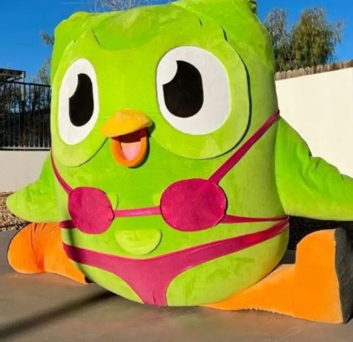Hơn 150+ duolingo meme hài hước khiến bạn cười ra nước mắt