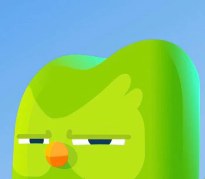 Hơn 150+ duolingo meme hài hước khiến bạn cười ra nước mắt