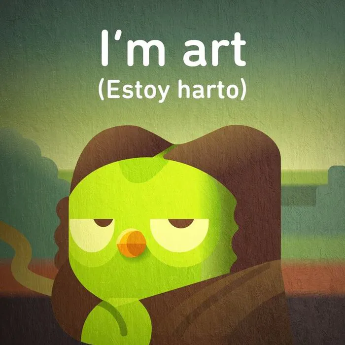 Hơn 150+ duolingo meme hài hước khiến bạn cười ra nước mắt