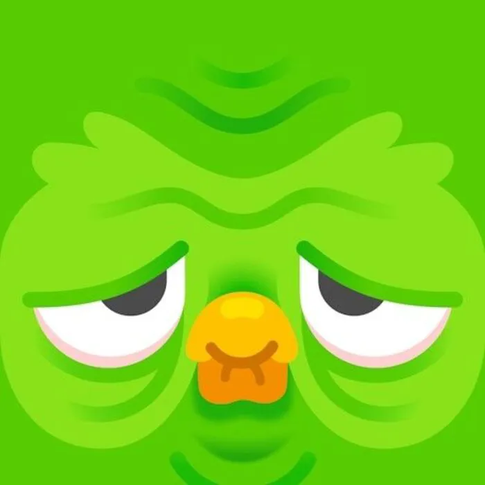 Hơn 150+ duolingo meme hài hước khiến bạn cười ra nước mắt