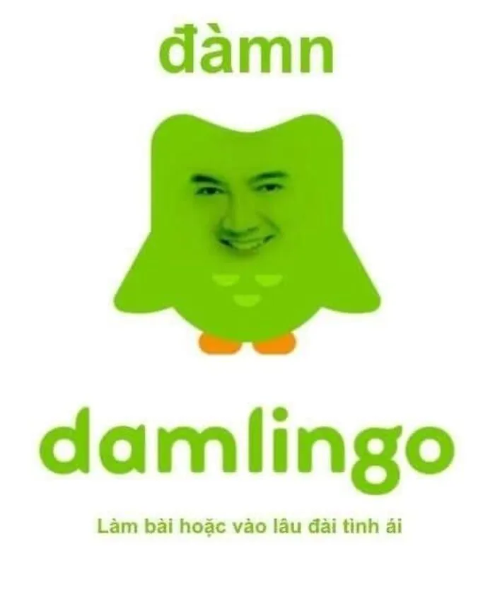 Hơn 150+ duolingo meme hài hước khiến bạn cười ra nước mắt