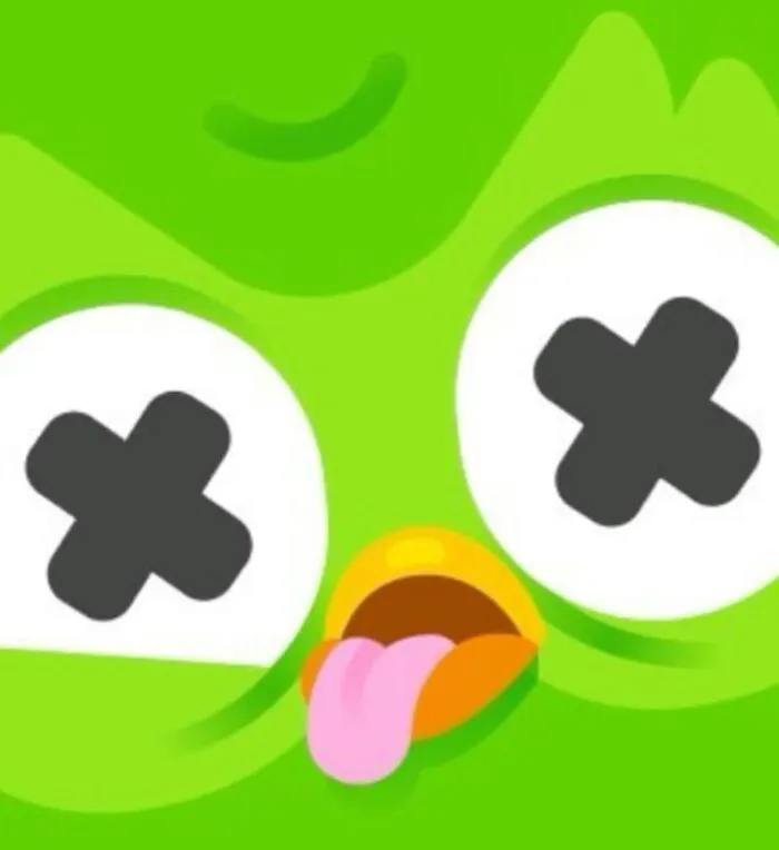 Hơn 150+ duolingo meme hài hước khiến bạn cười ra nước mắt