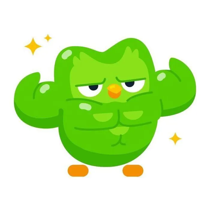 Hơn 150+ duolingo meme hài hước khiến bạn cười ra nước mắt