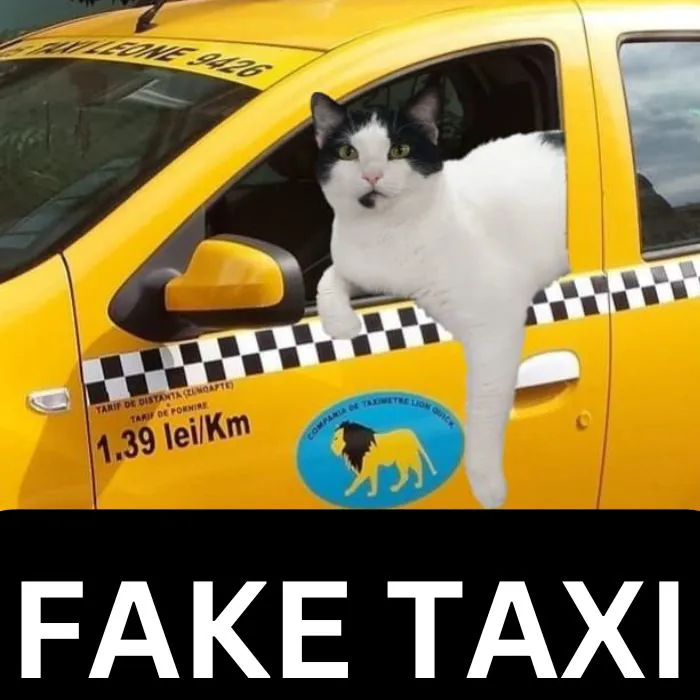 Top 100+ fake taxi meme 'cười ra nước mắt' mỗi ngày
