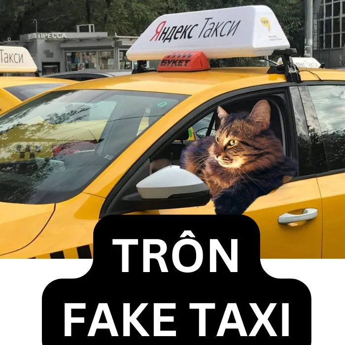 Top 100+ fake taxi meme 'cười ra nước mắt' mỗi ngày