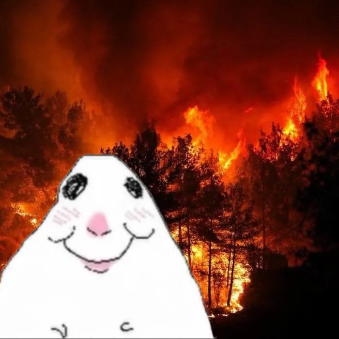 Khám phá thế giới 'hamster meme' vui nhộn với hơn 93+ ảnh độc đáo