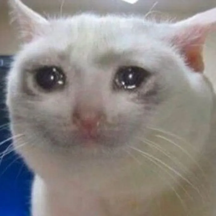 Khám phá 245+ meme cảm động lay động trái tim người xem