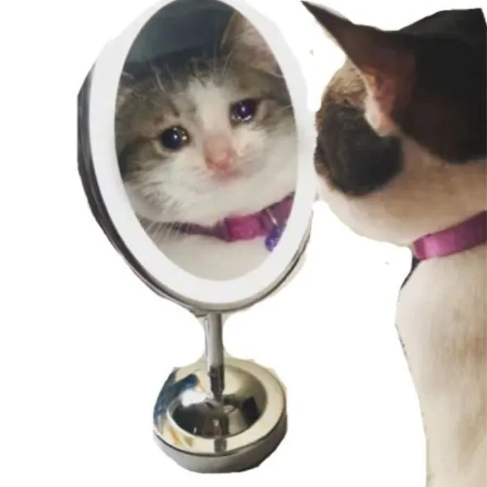 Khám phá 245+ meme cảm động lay động trái tim người xem