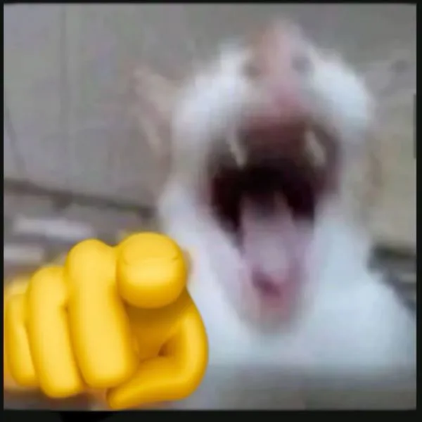 Tổng hợp 108+ meme chỉ tay hài hước, độc đáo nhất Tổng hợp 108+ meme chỉ tay hài hước, độc đáo nhất
