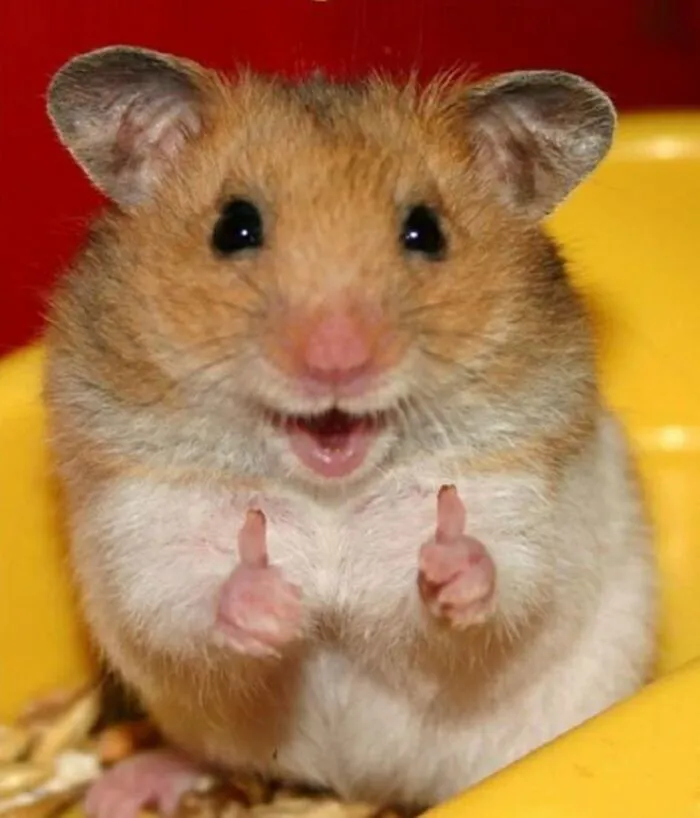 Tuyển tập 187+ like meme hài hước, độc đáo cho bạn