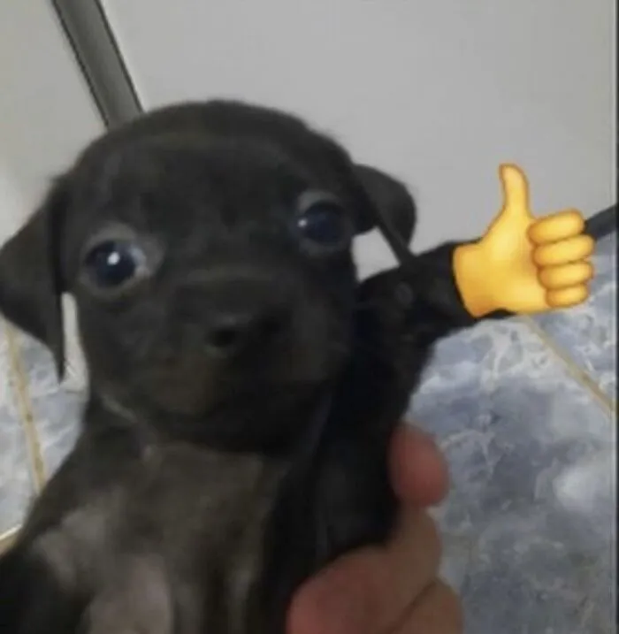 Tuyển tập 187+ like meme hài hước, độc đáo cho bạn