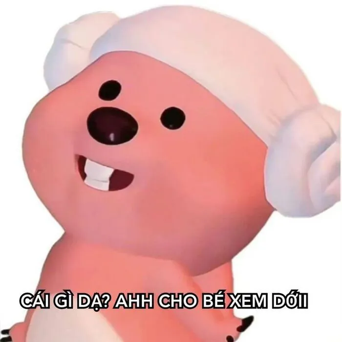 Những loopy meme hài hước nhất 187+ khiến bạn cười ra nước mắt