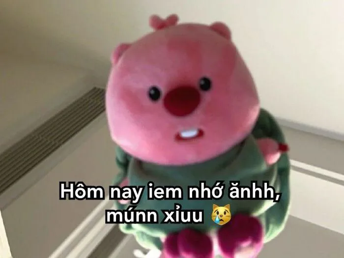 Những loopy meme hài hước nhất 187+ khiến bạn cười ra nước mắt