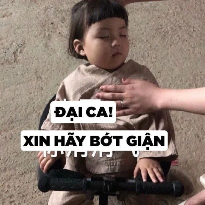 Khám phá kho meme an ủi độc đáo, giúp bạn xoa dịu tâm hồn