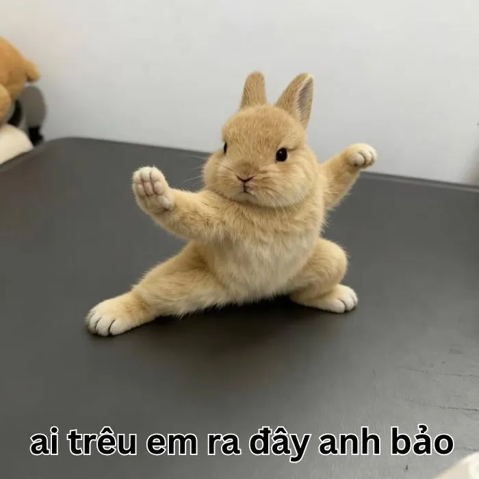 Khám phá kho meme an ủi độc đáo, giúp bạn xoa dịu tâm hồn