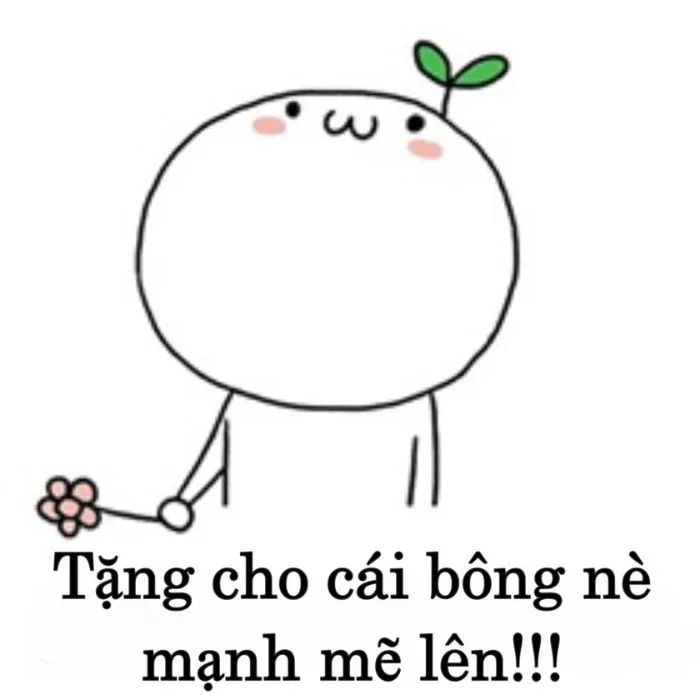 Khám phá kho meme an ủi độc đáo, giúp bạn xoa dịu tâm hồn