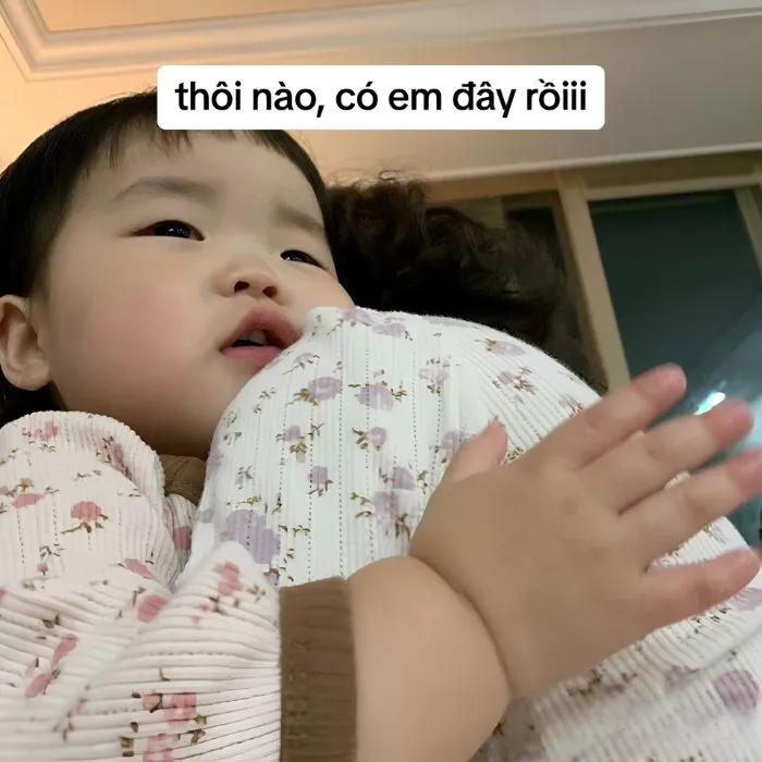 Khám phá kho meme an ủi độc đáo, giúp bạn xoa dịu tâm hồn