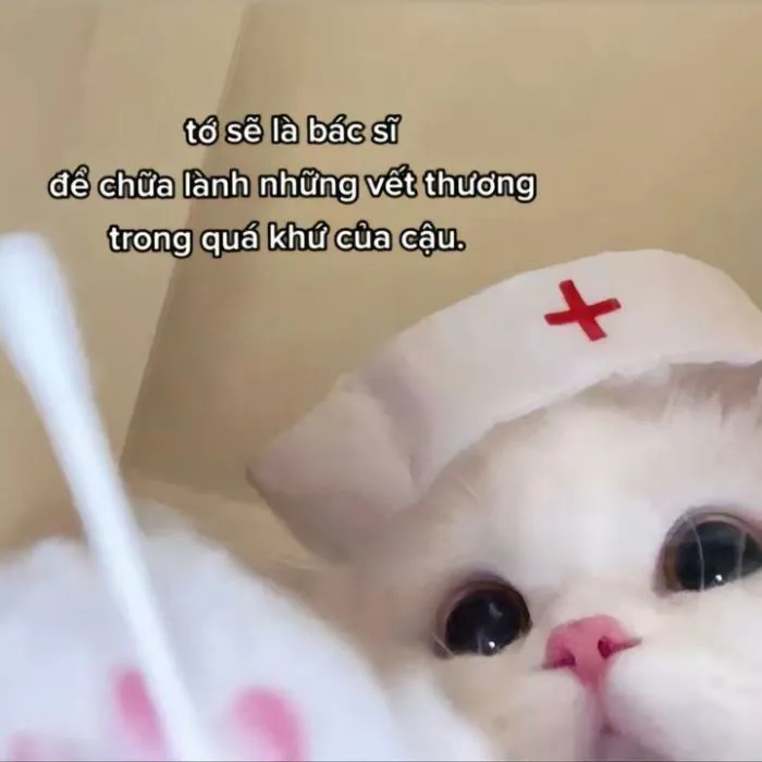 Khám phá kho meme an ủi độc đáo, giúp bạn xoa dịu tâm hồn