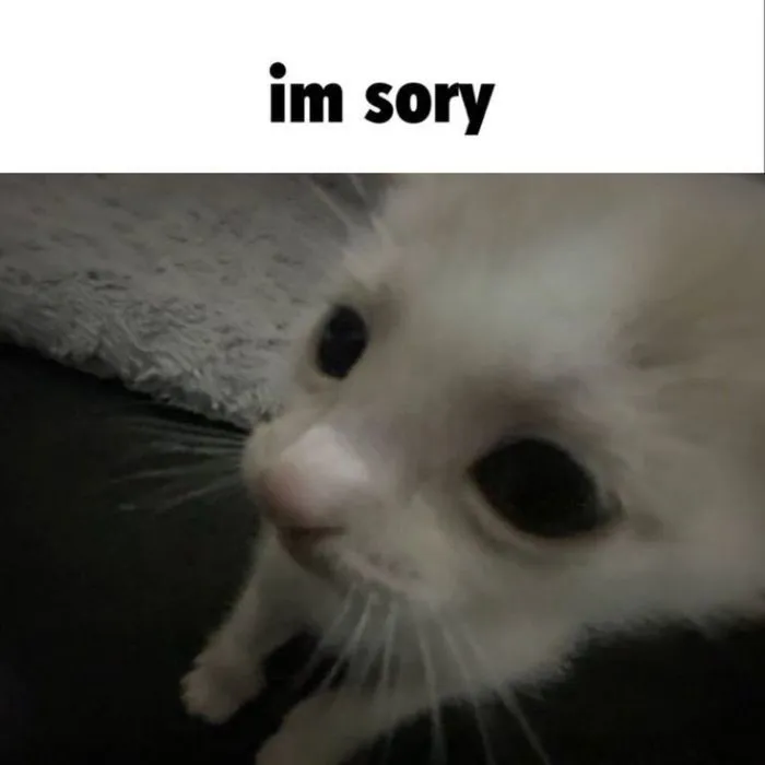 Khám phá kho meme an ủi độc đáo, giúp bạn xoa dịu tâm hồn