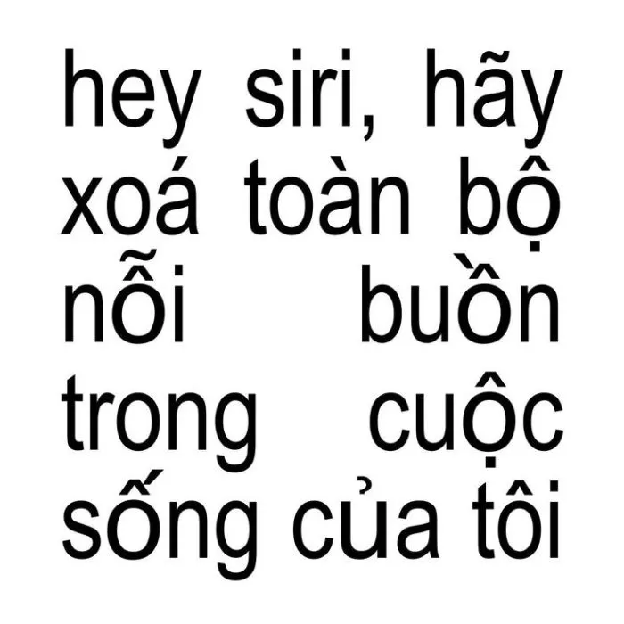 Khám phá kho meme an ủi độc đáo, giúp bạn xoa dịu tâm hồn