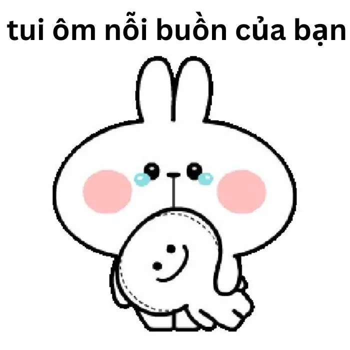Khám phá kho meme an ủi độc đáo, giúp bạn xoa dịu tâm hồn