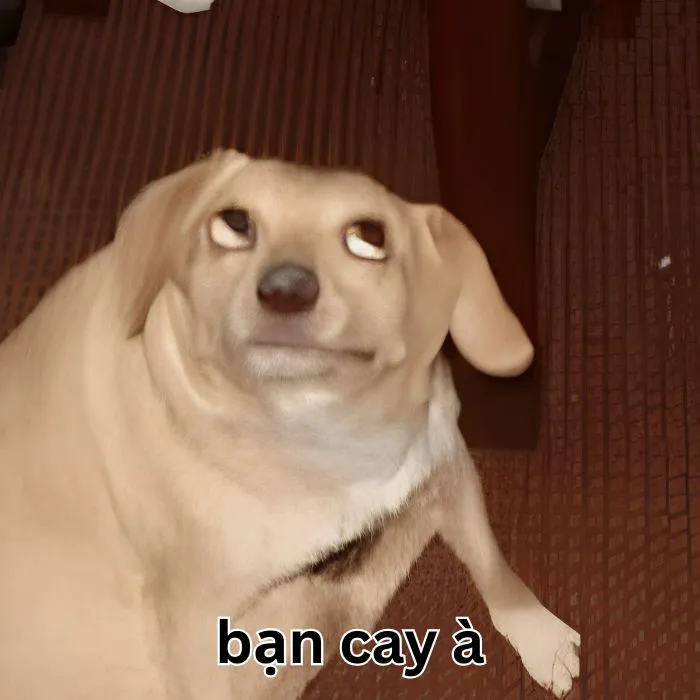 Tuyển tập meme bạn cay à cực hài hước và bá đạo 93+