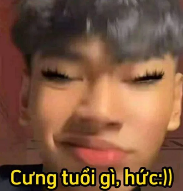Khám phá vũ trụ 'bạn sợ à meme' với 185+ mẫu độc đáo