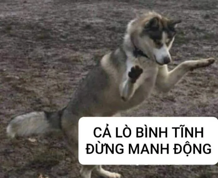 Top 145+ meme bình tĩnh 