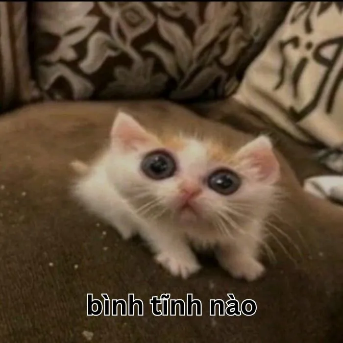 Top 145+ meme bình tĩnh 