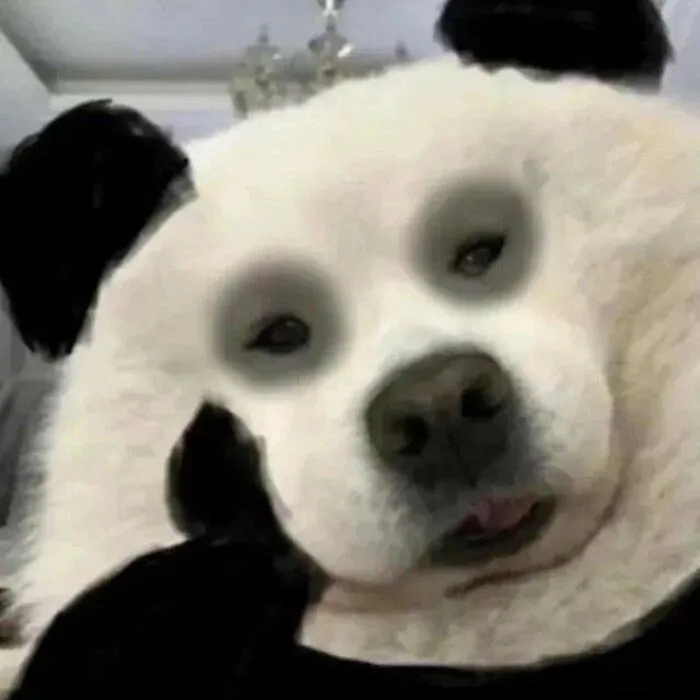 Meme bựa: 145+ biểu cảm hài hước và độc đáo