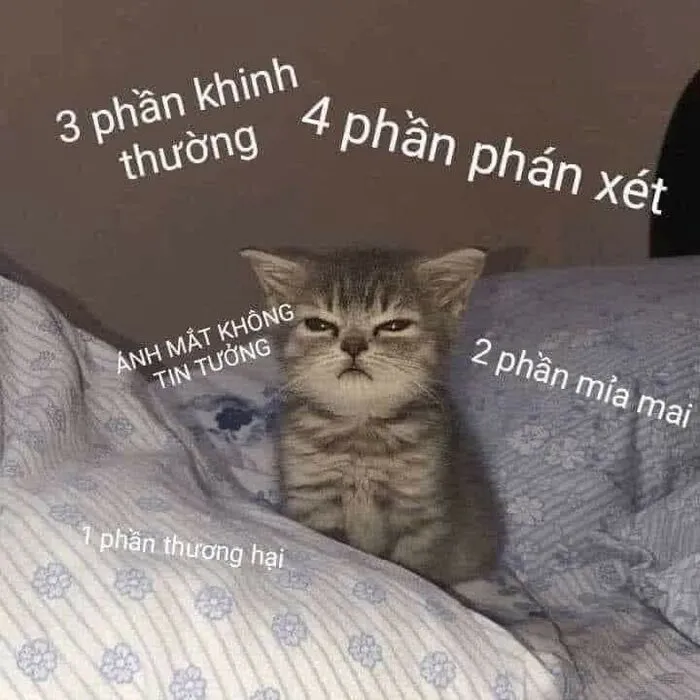 Meme bựa: 145+ biểu cảm hài hước và độc đáo
