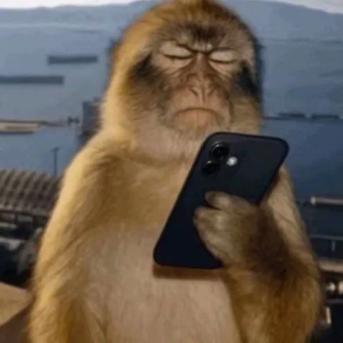 Meme bựa: 145+ biểu cảm hài hước và độc đáo