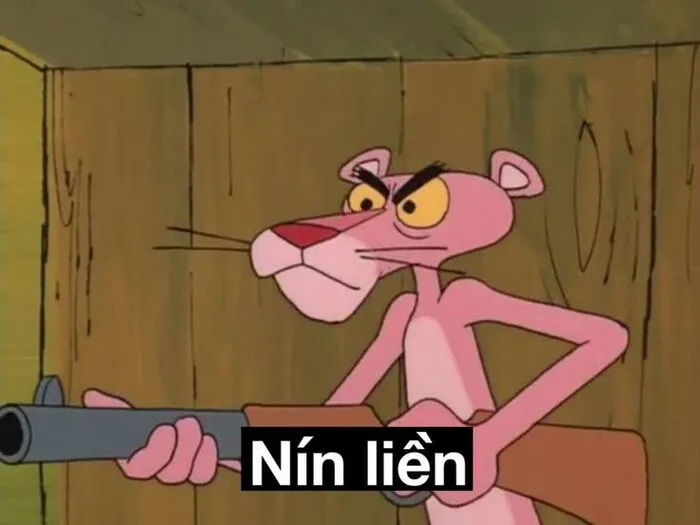 Meme bựa: 145+ biểu cảm hài hước và độc đáo