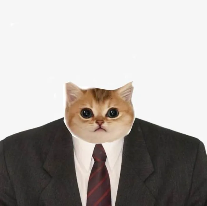 Meme bựa: 145+ biểu cảm hài hước và độc đáo