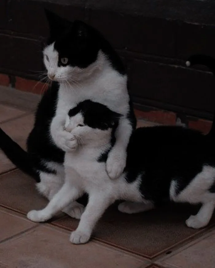 Meme bựa: 145+ biểu cảm hài hước và độc đáo