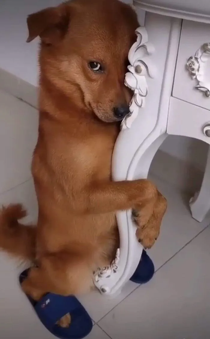 Meme bựa: 145+ biểu cảm hài hước và độc đáo