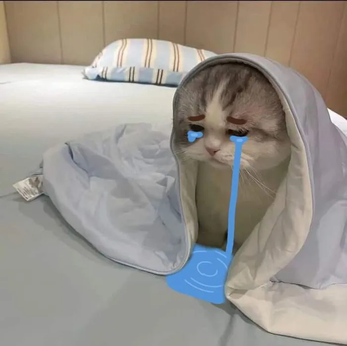238+ meme buồn chạm tới tim: Khi cảm xúc lên tiếng