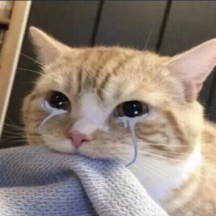 238+ meme buồn chạm tới tim: Khi cảm xúc lên tiếng