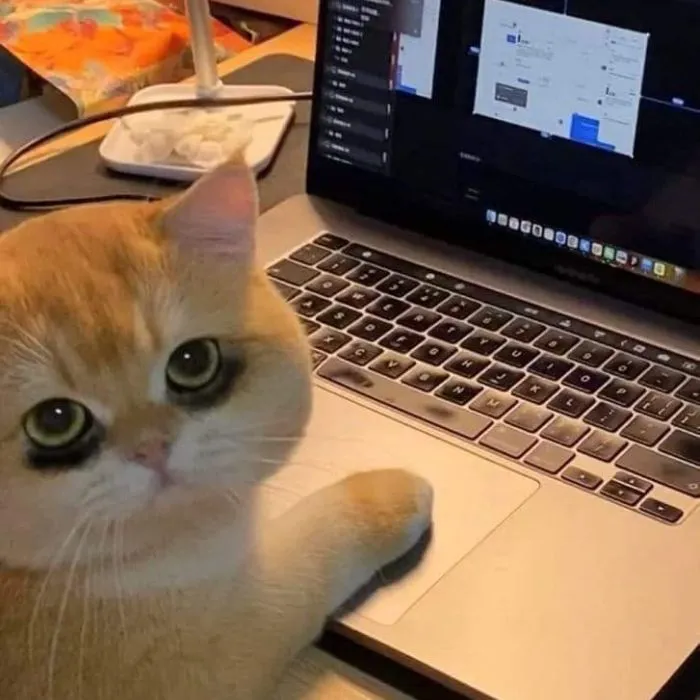 210+ meme buồn ngủ cực hài, ai nhìn cũng phải gật gù 210+ meme buồn ngủ cực hài, ai nhìn cũng phải gật gù
